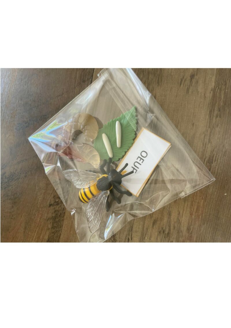 4 Figurines Plastique – Cycle De Vie De L’abeille – Œuf, Larve, Nymphe, Adulte – Jeu éducatif